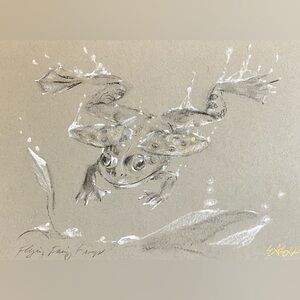 Original Frog fairy pianting Art Gold Accents Flying Frog amphibian artwork EAE